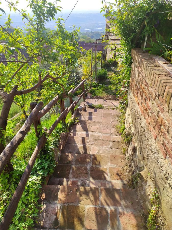 Casa Mantel Holiday Home Panoramic View In Langhe Новело Екстериор снимка