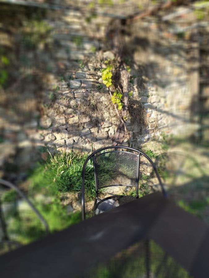 Casa Mantel Holiday Home Panoramic View In Langhe Новело Екстериор снимка