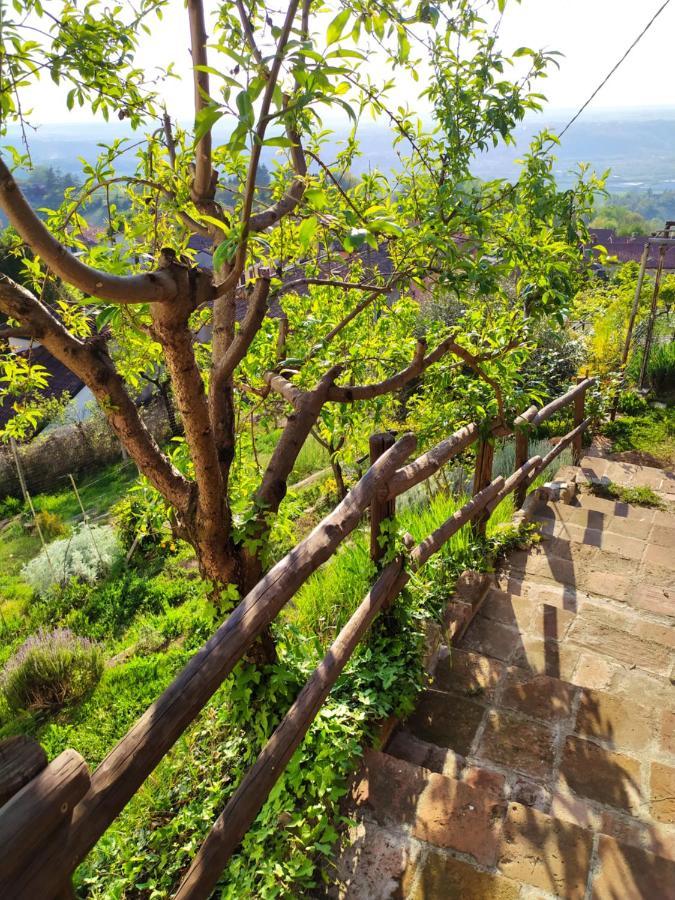 Casa Mantel Holiday Home Panoramic View In Langhe Новело Екстериор снимка